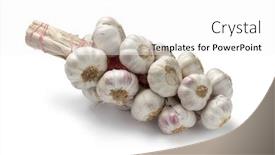  Presentation with garlic garlic garlic bulb - PPT layouts featuring string-of-garlic-bulb-isolated background and a white colored foreground
