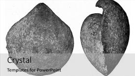  Presentation with fossil - PPT theme with stringocephalus fossil brachipode background and a light gray colored foreground