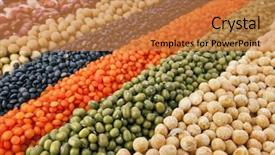  Presentation with soybeans - Presentation design having striped rows of lentils bean background and a gold colored foreground