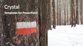  Presentation with horizontal stripe - Cool new PPT theme with stripes trail mark on bark backdrop and a tawny brown colored foreground