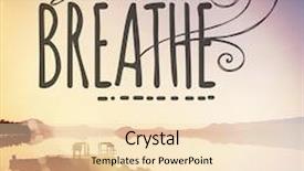  Presentation with quote - Cool new slides with vegan food cheese mashed potato pancakes cutlets with dill and sour cream on gray stone background copy space backdrop and a coral colored foreground