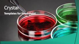  Presentation with biology fungi petri dishes - Beautiful presentation featuring structur organic chemical - color liquid in petri dishes backdrop and a dark gray colored foreground