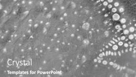  Presentation with bone - PPT layouts featuring structure-of-bone-tissue-affected background and a gray colored foreground