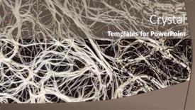  Presentation with mushroom - Slide deck consisting of structure-of-the-mushroom-mycelium background and a gray colored foreground