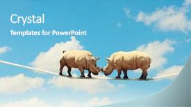  Presentation with treasure map aged rope - PPT theme consisting of struggle - image of two rhino struggling background and a teal colored foreground