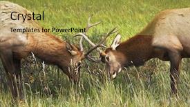  Presentation with struggle - Presentation design enhanced with struggle on a wood marge background and a yellow colored foreground