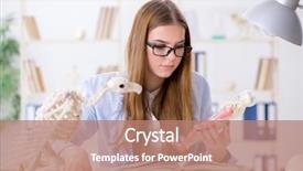  Presentation with skeleton - Presentation design featuring student examining animal skeleton background and a coral colored foreground