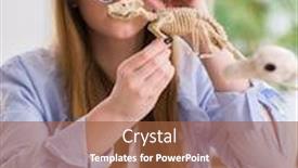  Presentation with skeleton - Cool new slide deck with student examining animal skeleton in classroom backdrop and a red colored foreground