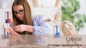  Presentation with animal - Presentation theme having student-examining-animal-skeleton background and a coral colored foreground