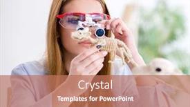  Presentation with skeleton - Presentation design enhanced with student-examining-animal-skeleton background and a coral colored foreground