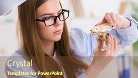 Presentation with animal - Presentation theme having student-examining-animal-skeleton background and a tawny brown colored foreground