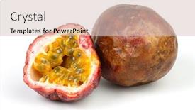  Presentation with snail - Slide set featuring studio-photo-of-a-snail background and a lemonade colored foreground