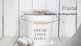  Presentation with infant - Amazing theme having studio-scene-to-add-infant backdrop and a white colored foreground