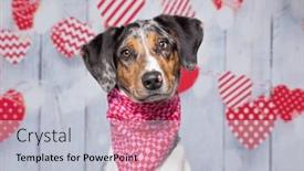  Presentation with valentine - Slides consisting of studio-shot-of-a-cute background and a light gray colored foreground