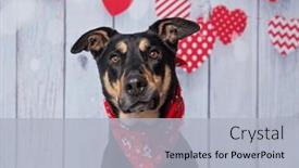  Presentation with valentine - Slide set having studio-shot-of-a-cute background and a light gray colored foreground