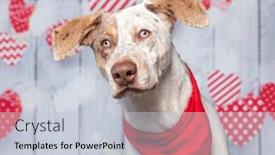  Presentation with valentine - PPT layouts enhanced with studio-shot-of-a-cute background and a lemonade colored foreground