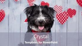  Presentation with valentine - PPT theme with studio-shot-of-a-cute background and a gray colored foreground