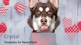  Presentation with valentine - Presentation theme featuring studio-shot-of-a-cute background and a lemonade colored foreground