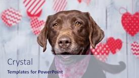  Presentation with valentine - Presentation theme having studio-shot-of-a-cute background and a lemonade colored foreground