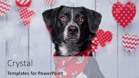  Presentation with valentine - Slide deck with studio-shot-of-a-cute background and a lemonade colored foreground