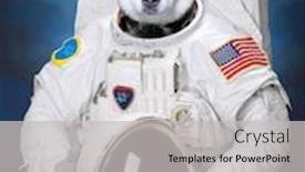  Presentation with studio - Beautiful presentation featuring studio-shot-of-a-dog backdrop and a light gray colored foreground