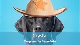  Presentation with dog shelter - Presentation theme with studio-shot-of-a-shelter background and a teal colored foreground