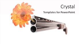  Presentation with flower - Amazing theme having studio shot of a shotgun backdrop and a white colored foreground