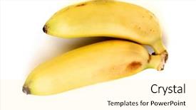  Presentation with banana plant - PPT theme having studio shot of bananas background and a blonde colored foreground