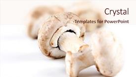  Presentation with studio - PPT theme featuring culture champignons - studio shot of champignones background and a lemonade colored foreground