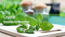  Presentation with tv show studio camera - Cool new presentation with studio shot of fresh basil backdrop and a tawny brown colored foreground