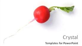  Presentation with studio - Theme having studio-shot-of-raddish background and a white colored foreground