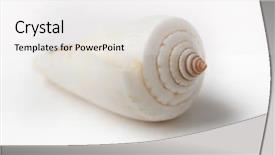  Presentation with sea shell - Cool new PPT layouts with studio shot of sea shell backdrop and a white colored foreground