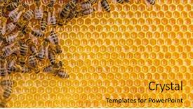  Presentation with cells - Amazing slide deck having studious - close up view backdrop and a gold colored foreground