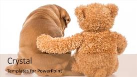  Presentation with teddy bear - Presentation design consisting of stuffed animals - best friends - dog background and a coral colored foreground