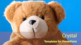  Presentation with teddy bear - Slides with stuffed animals - cute teddy bear on blue background and a  colored foreground