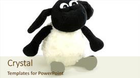  Presentation with sheep - PPT layouts featuring stuffed animals - sheep toy isolated background and a soft green colored foreground