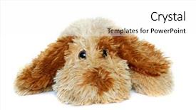  Presentation with floral border over white - Theme enhanced with stuffed animals - toy-dog over white background and a  colored foreground