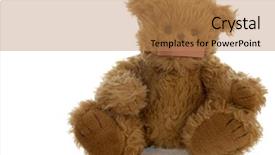  Presentation with sitting teddy bear isolated - Cool new presentation theme with stuffed teddy bear with bandaid backdrop and a coral colored foreground