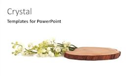  Presentation with wood - Slides having stump-wood-disk-platform-podium and a white colored foreground