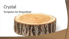 Presentation with cross - Presentation featuring stumps - cross section of tree trunk background and a white colored foreground