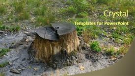  Presentation with cut - Slide deck having stumps-from-cut-down-trees background and a tawny brown colored foreground