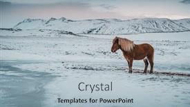  Presentation with iceland - Slide deck with stunning-landscape-and-horse-iceland background and a  colored foreground