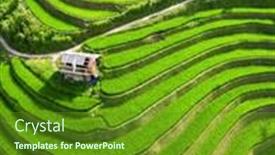  Presentation with rice terraces - Theme consisting of stunning-scenery-of-rice-terraces and a tawny brown colored foreground