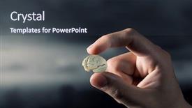  Presentation with fingers - Cool new PPT layouts with stupid - small brain between fingers mixed backdrop and a tawny brown colored foreground