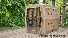  Presentation with rv travel - PPT theme having sturdy-dog-travel-kennel background and a coral colored foreground