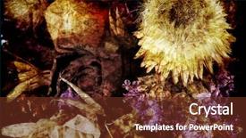  Presentation with pressed and dried flowers - Amazing presentation having style with many textures map backdrop and a  colored foreground