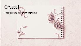  Presentation with tulips - Presentation theme enhanced with stylised - still life with dried tulips background and a sky blue colored foreground