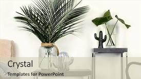  Presentation with interior design - Presentation enhanced with stylish interior design with tropical background and a soft green colored foreground