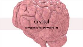  Presentation with brain stroke medical - Cool new presentation design with subconscious mind - 3d brain backdrop and a coral colored foreground