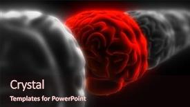  Presentation with brains - Colorful presentation theme enhanced with subconscious mind - brains backdrop and a wine colored foreground